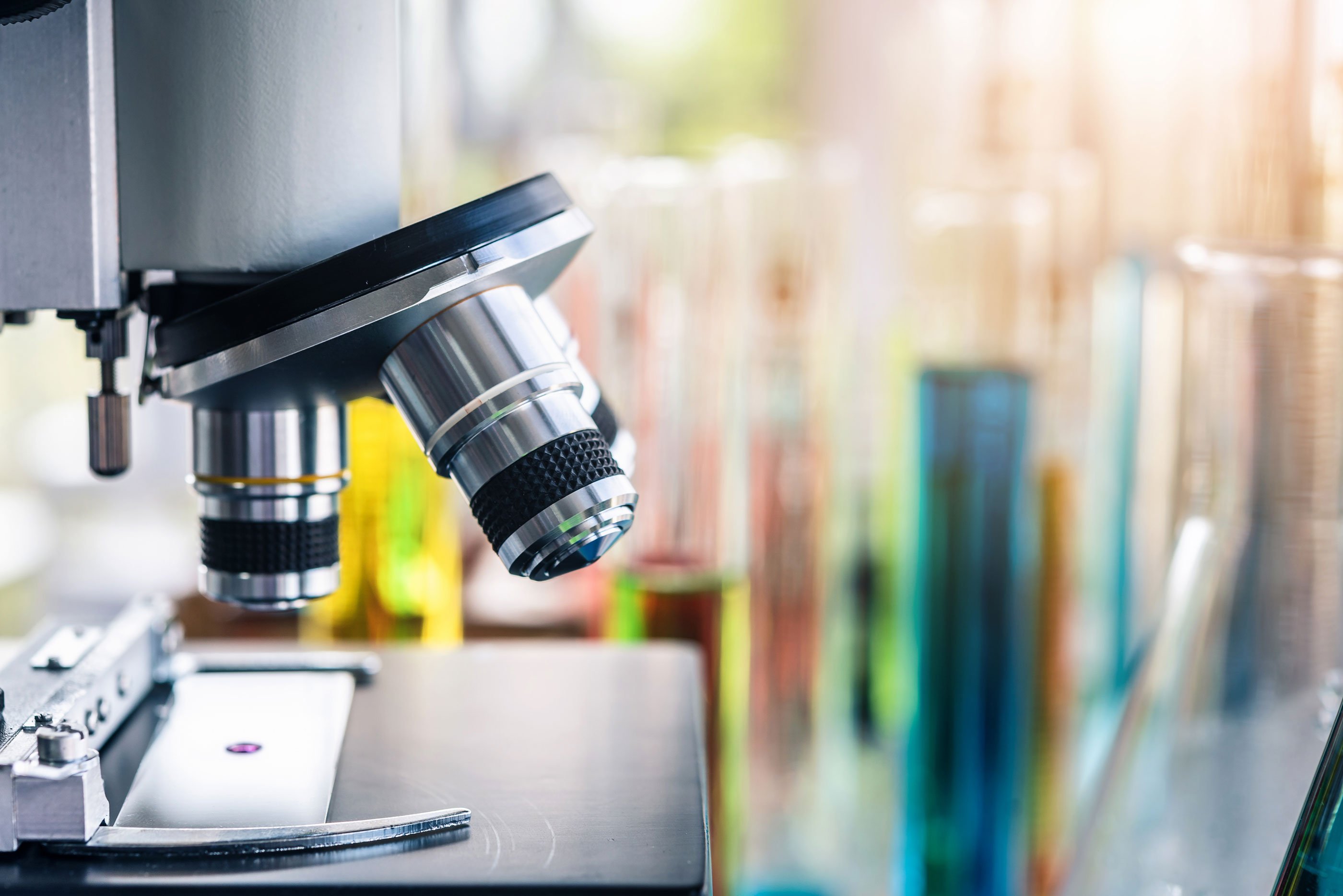 2025 Year-End Boston Life Science Report